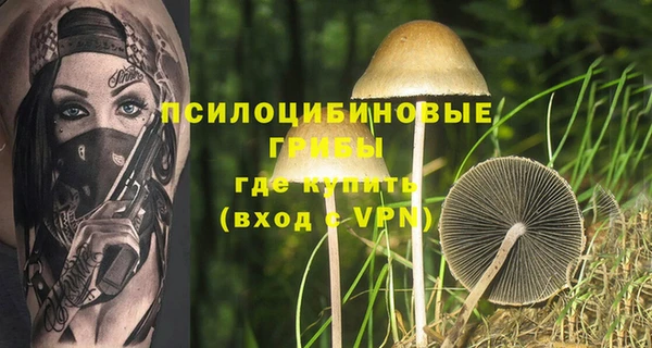 каннабис Абаза