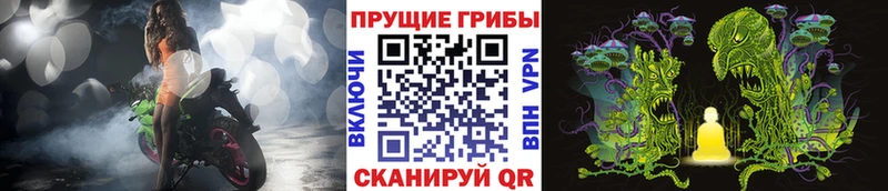 Галлюциногенные грибы мицелий  где купить   Ак-Довурак 